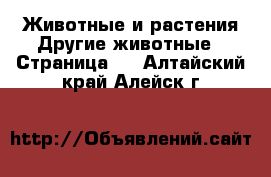 Животные и растения Другие животные - Страница 2 . Алтайский край,Алейск г.